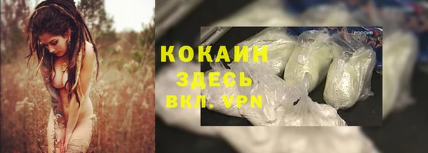 крисы Богданович