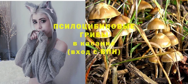 крисы Богданович