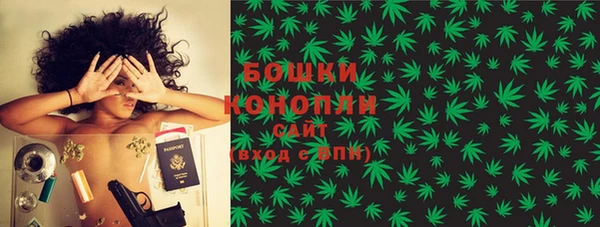 крисы Богданович