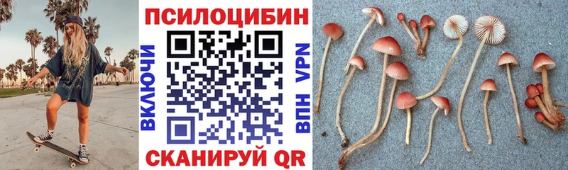 Галлюциногенные грибы Magic Shrooms Красный Кут