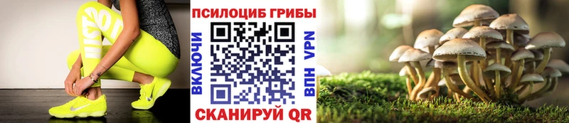 Псилоцибиновые грибы MAGIC MUSHROOMS  Красный Кут 